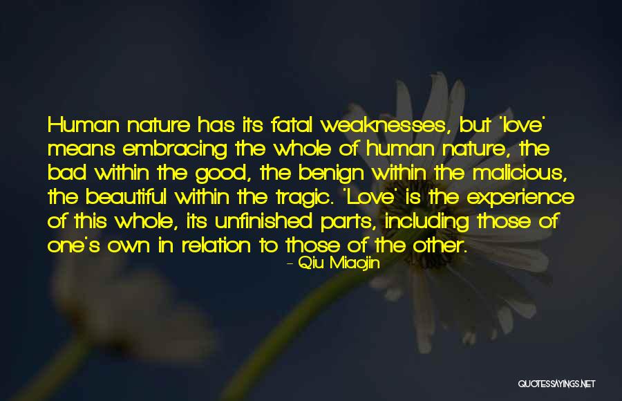 Bad Experience In Love Quotes By Qiu Miaojin Bad Experience In Love Quotes By Qiu Miaojin