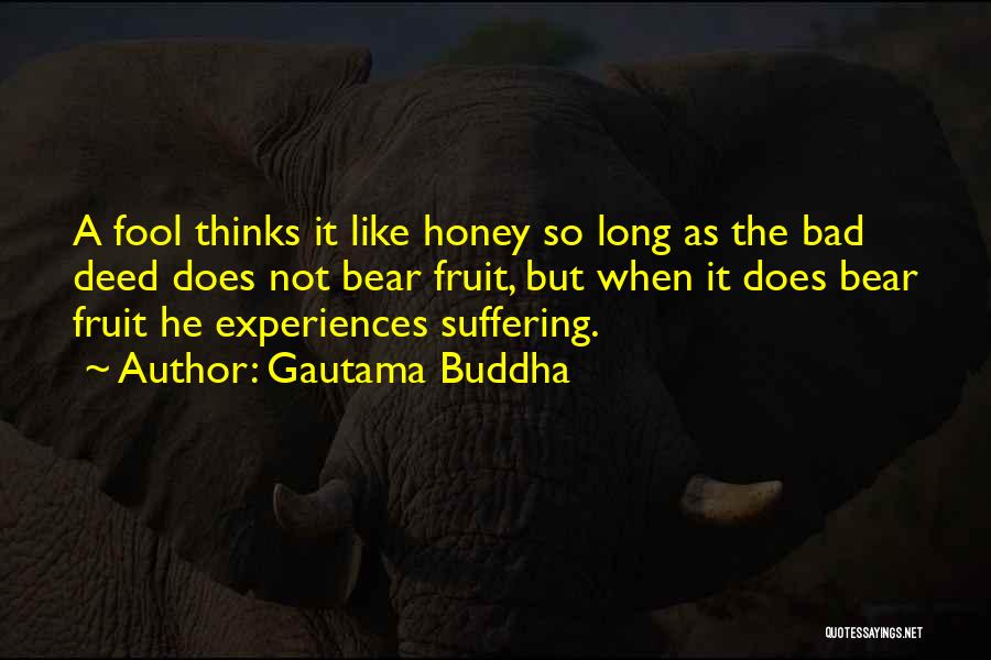 Bad Experiences Quotes By Gautama Buddha