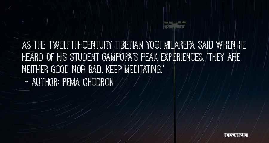 Bad Experiences Quotes By Pema Chodron