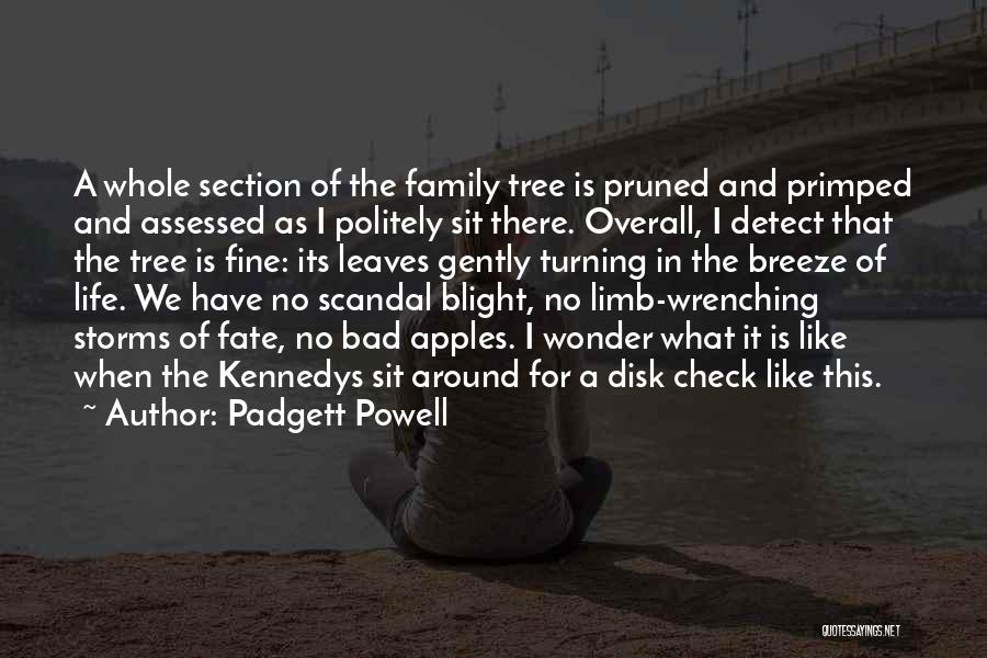 Bad Family Life Quotes By Padgett Powell
