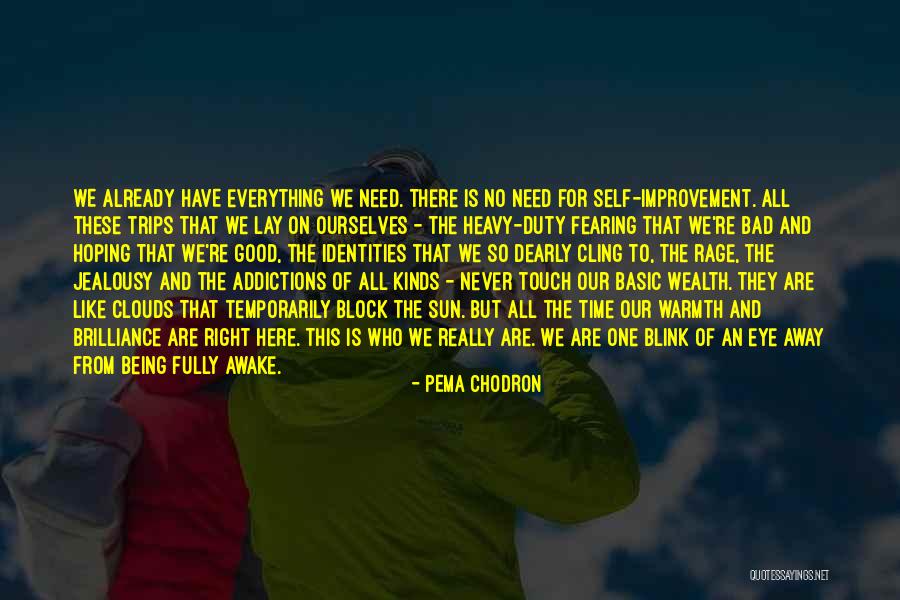 Bad For Good Quotes By Pema Chodron Bad For Good Quotes By Pema Chodron