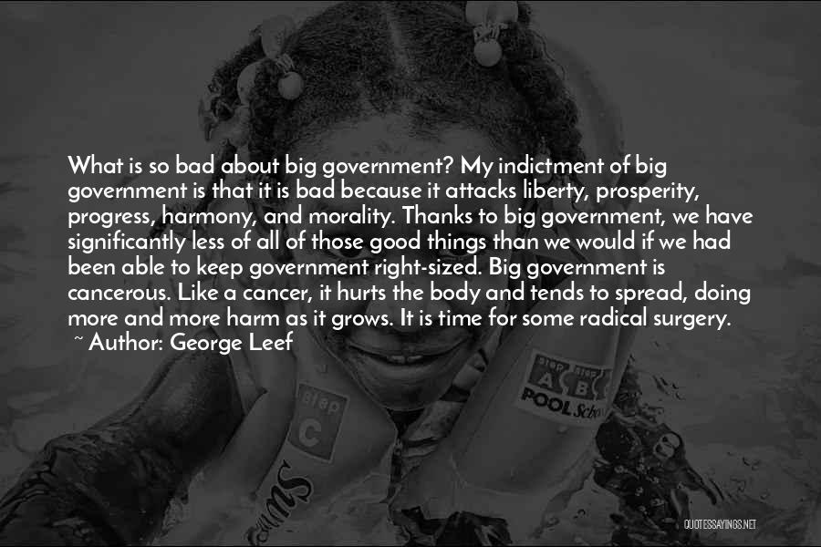 Bad Government Quotes By George Leef