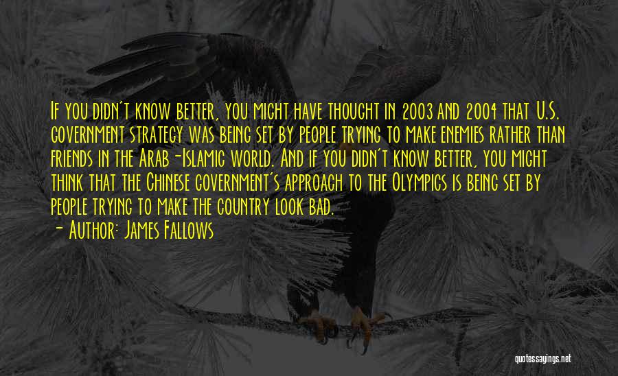 Bad Government Quotes By James Fallows