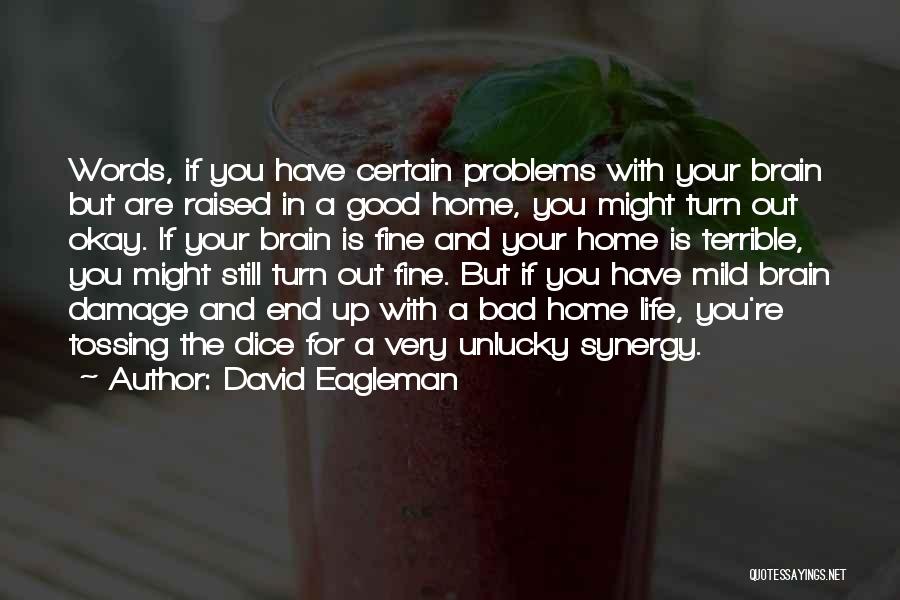 Bad Home Life Quotes By David Eagleman