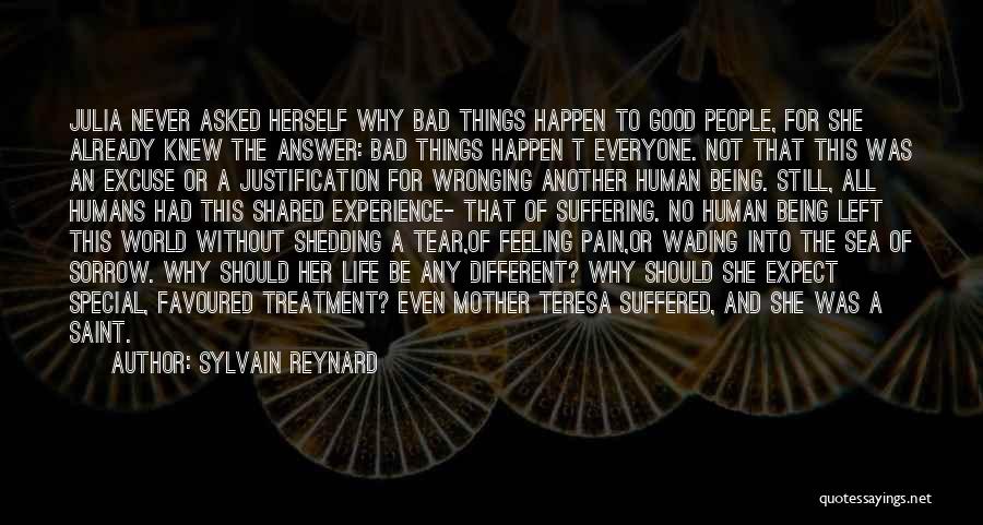 Bad Human Being Quotes By Sylvain Reynard