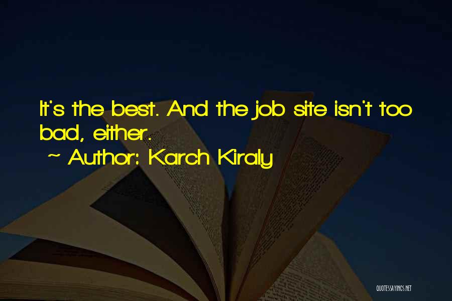 Bad Jobs Quotes By Karch Kiraly