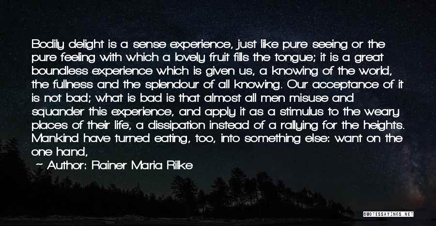 Bad Life Experience Quotes By Rainer Maria Rilke
