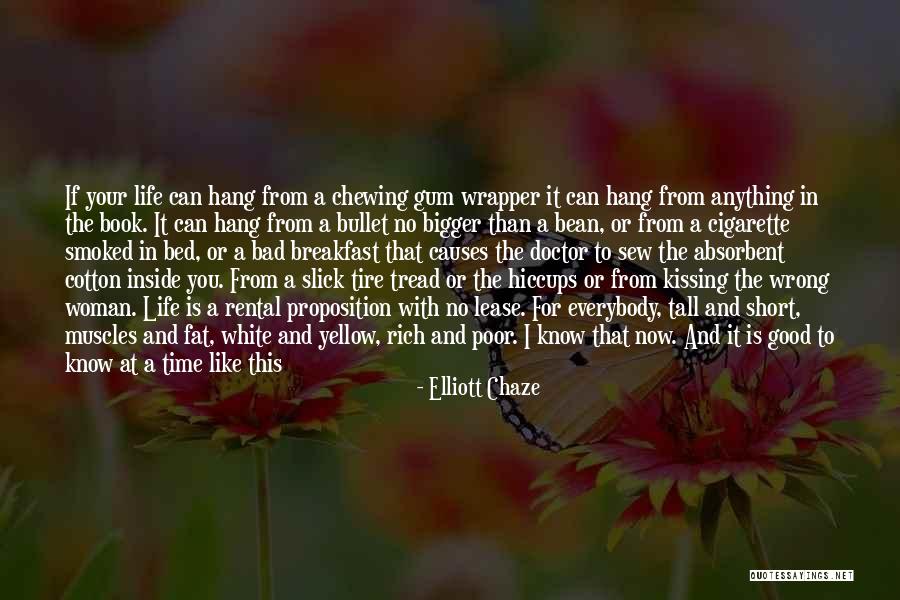 Bad Life Quotes By Elliott Chaze