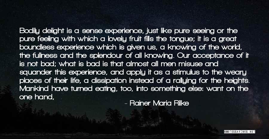 Bad Life Quotes By Rainer Maria Rilke