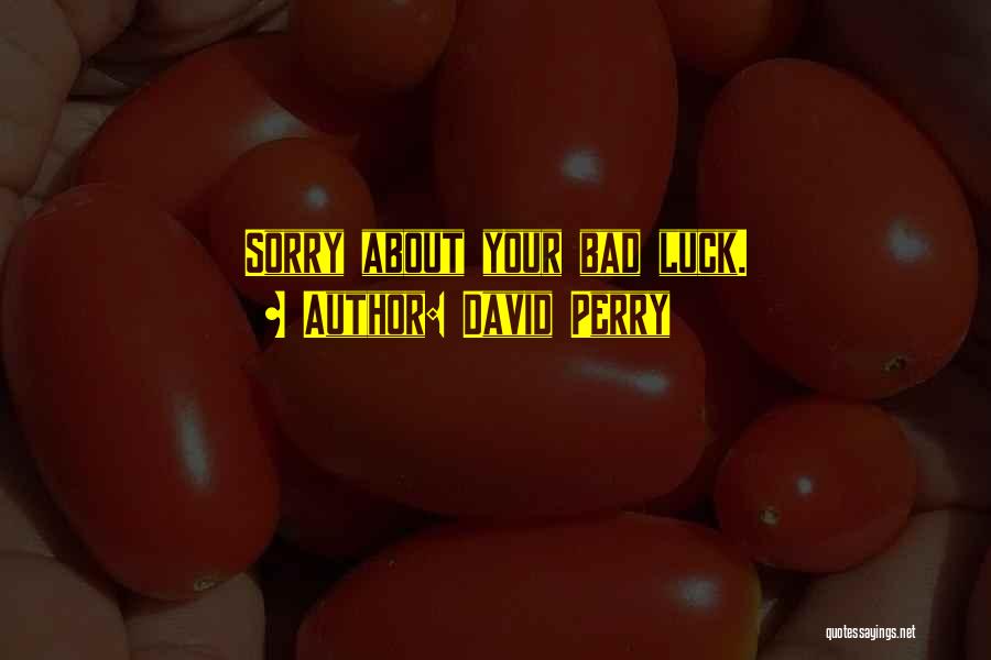 Bad Luck Quotes By David Perry