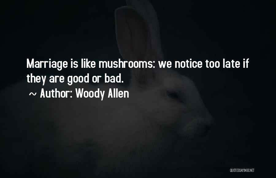 Bad Marriage Life Quotes By Woody Allen