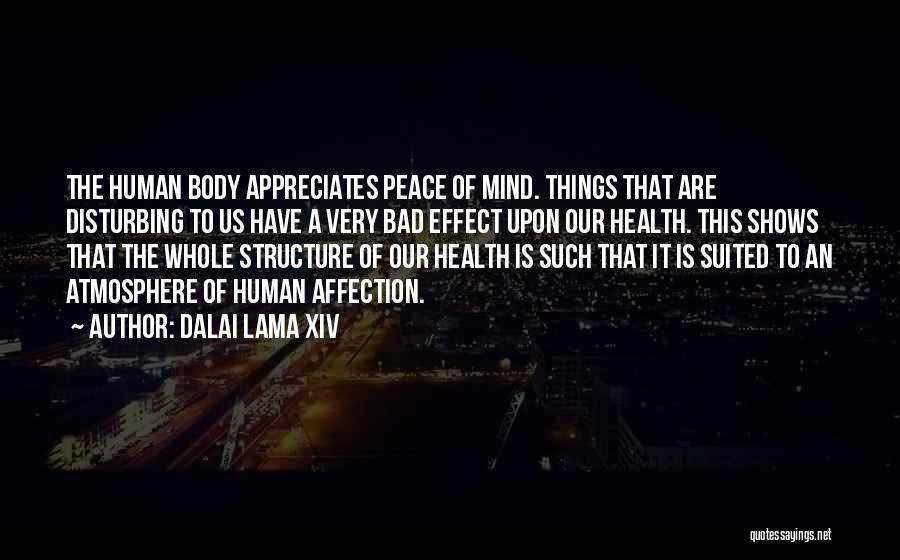 Bad Mind Quotes By Dalai Lama XIV