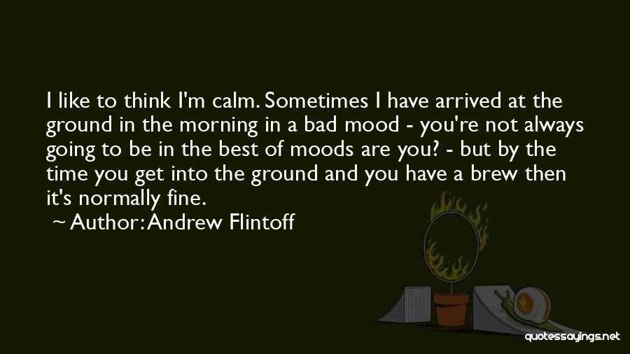 Bad Mood Morning Quotes By Andrew Flintoff