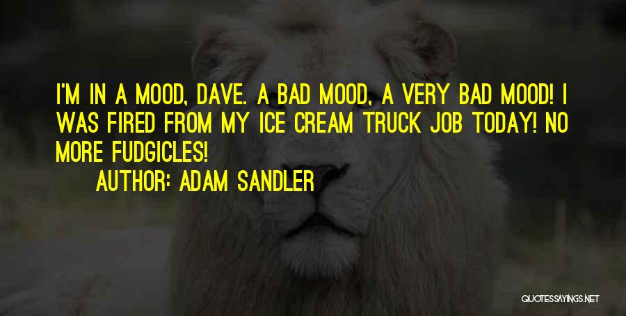 Bad Mood Quotes By Adam Sandler