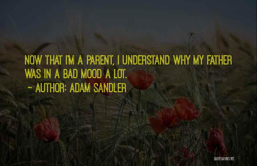 Bad Mood Quotes By Adam Sandler