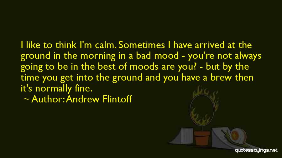 Bad Mood Quotes By Andrew Flintoff