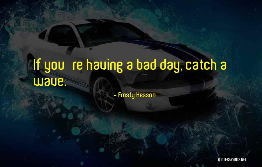 Bad Mr Frosty Quotes By Frosty Hesson