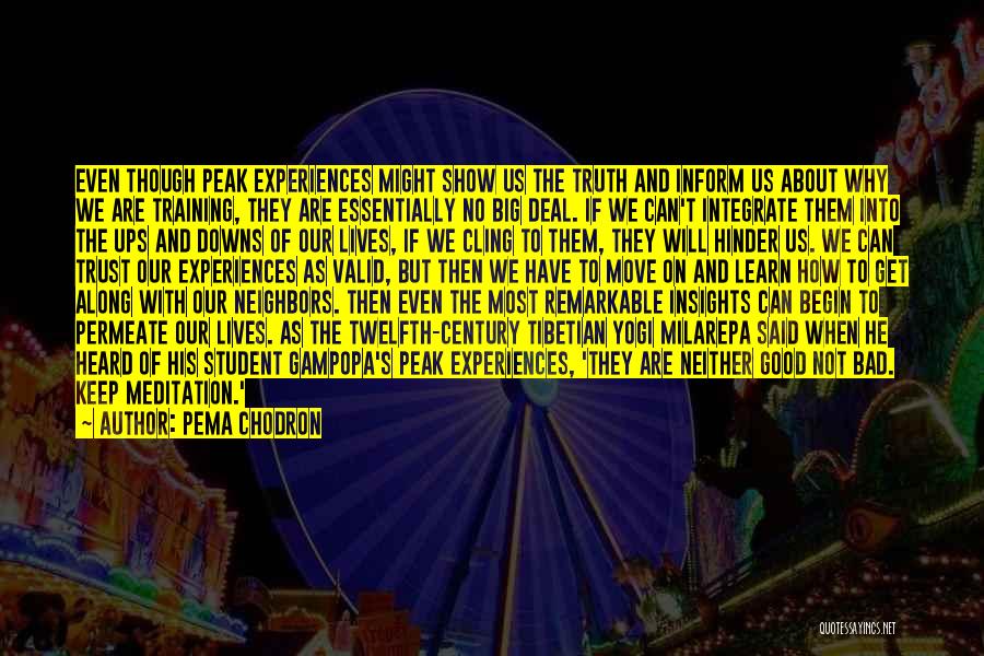 Bad Neighbors Quotes By Pema Chodron