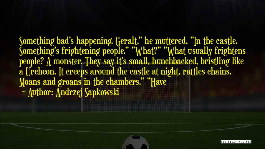 Bad Night Quotes By Andrzej Sapkowski