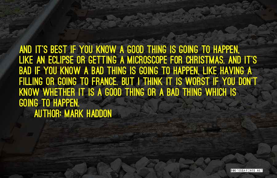 Bad Past And Good Future Quotes By Mark Haddon