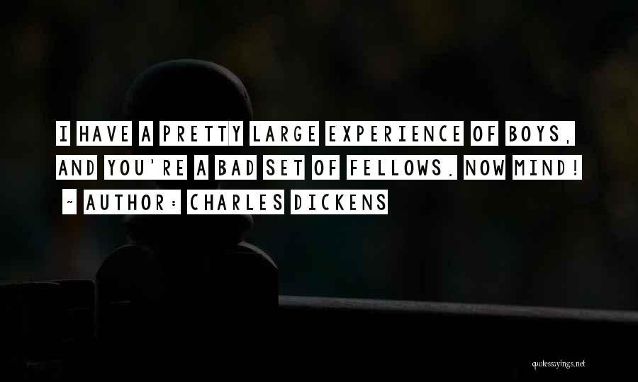 Bad Past Experience Quotes By Charles Dickens