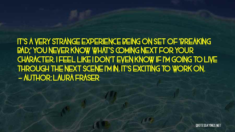 Bad Past Experience Quotes By Laura Fraser