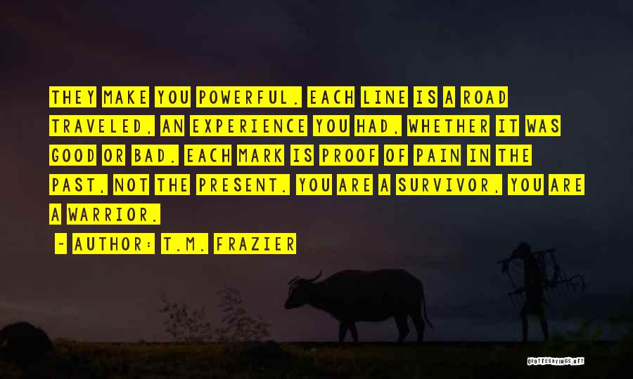Bad Past Experience Quotes By T.M. Frazier