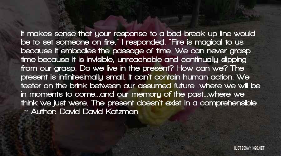 Bad Past Life Quotes By David David Katzman