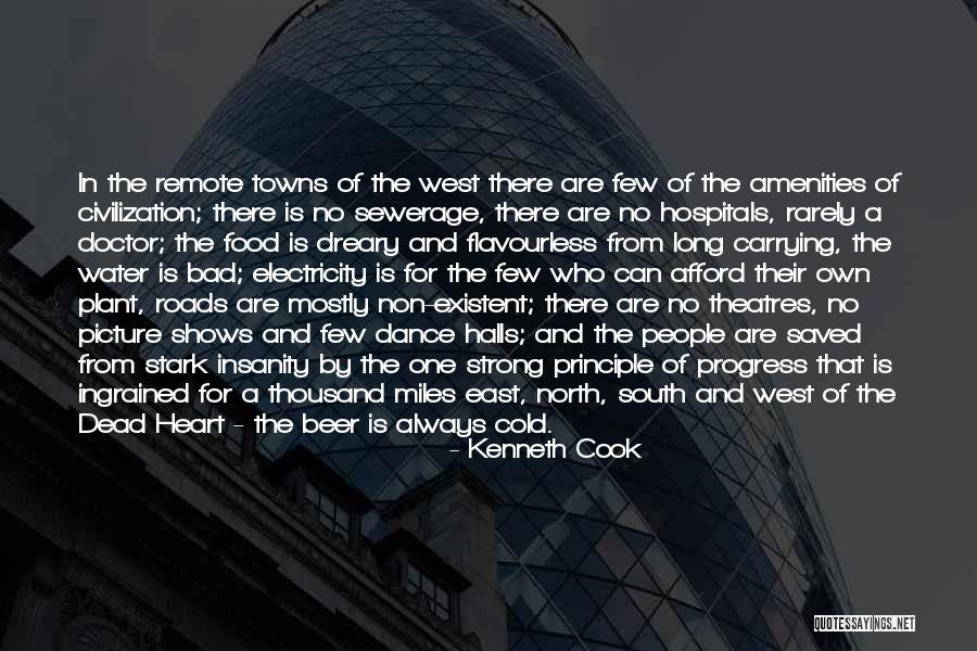 Bad Principle Quotes By Kenneth Cook Bad Principle Quotes By Kenneth Cook