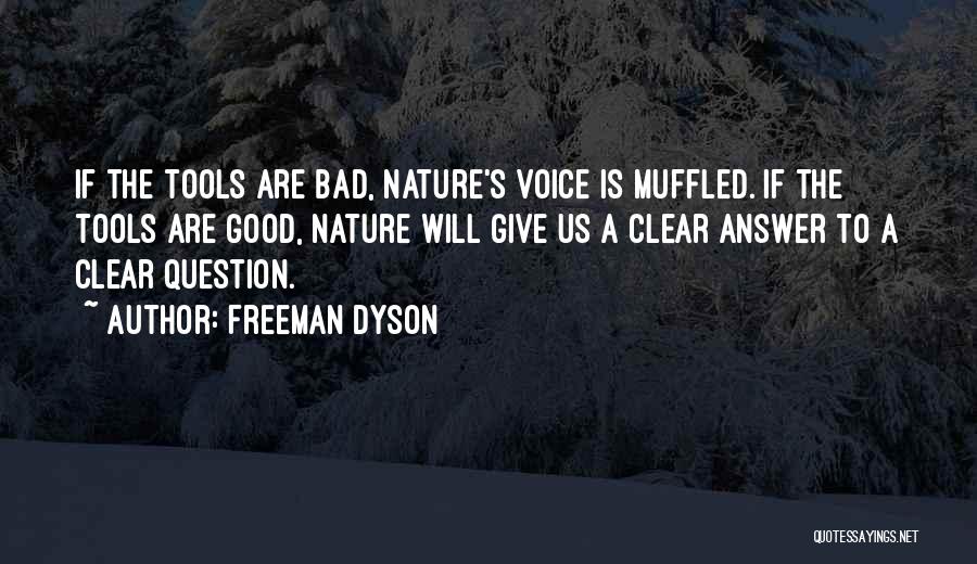 Bad Science Quotes By Freeman Dyson