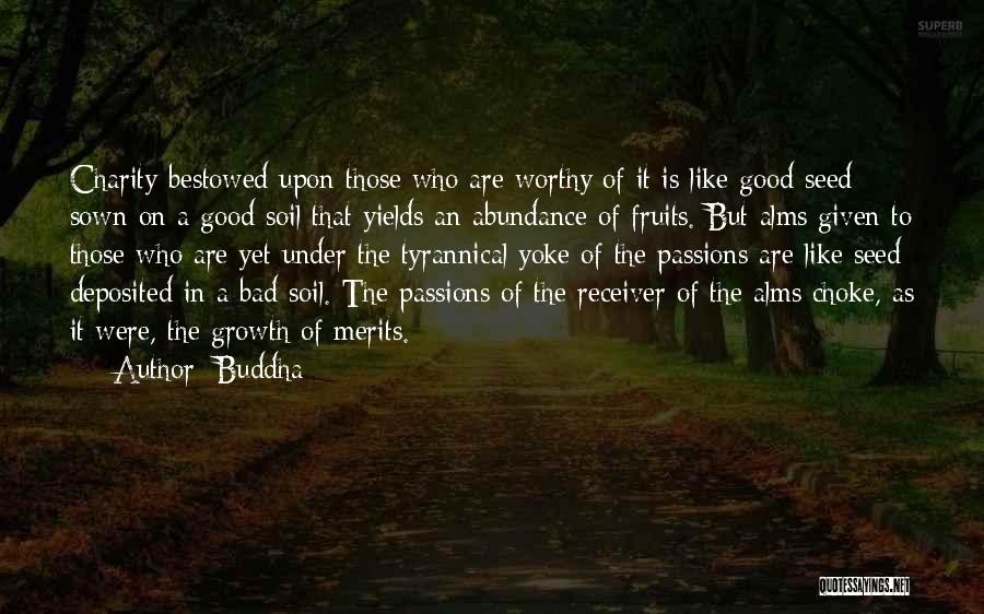 Bad Seed Quotes By Buddha