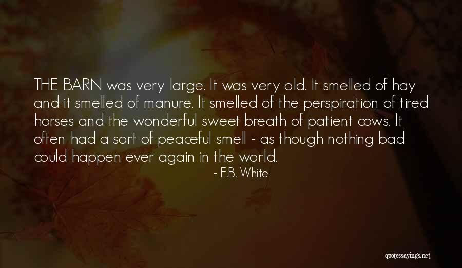 Bad Smell Quotes By E.B. White Bad Smell Quotes By E.B. White