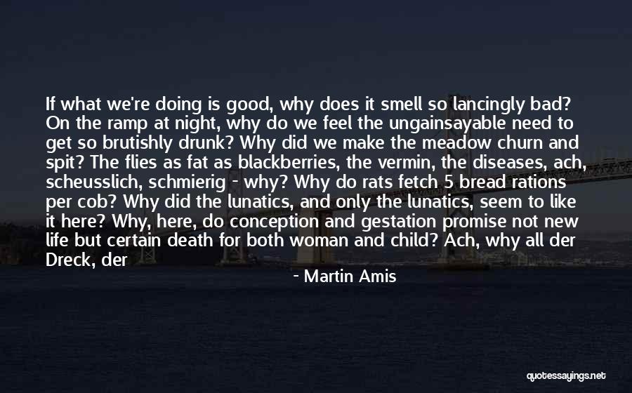 Bad Smell Quotes By Martin Amis Bad Smell Quotes By Martin Amis