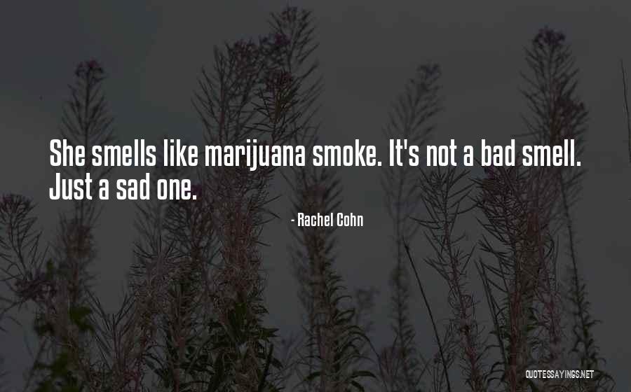 Bad Smell Quotes By Rachel Cohn Bad Smell Quotes By Rachel Cohn