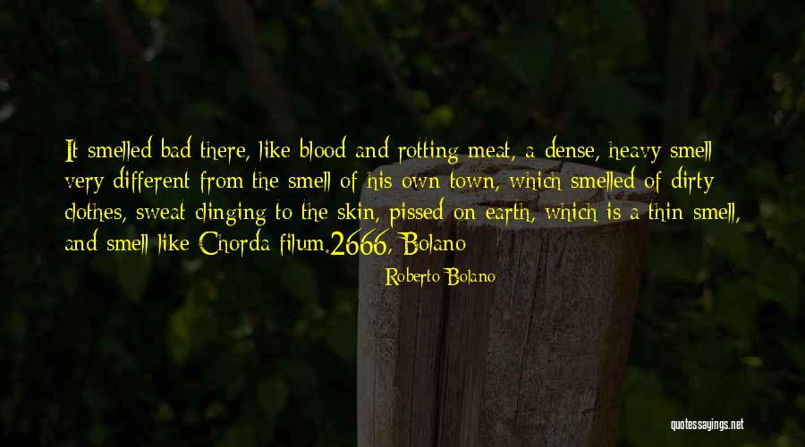 Bad Smell Quotes By Roberto Bolano Bad Smell Quotes By Roberto Bolano