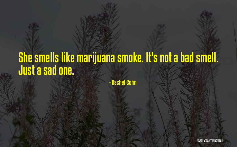 Bad Smells Quotes By Rachel Cohn Bad Smells Quotes By Rachel Cohn