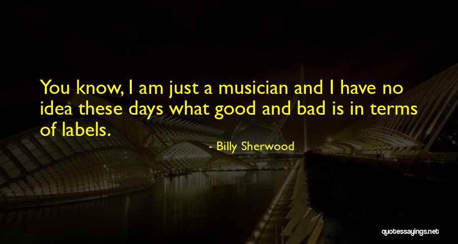 Bad Terms Quotes By Billy Sherwood