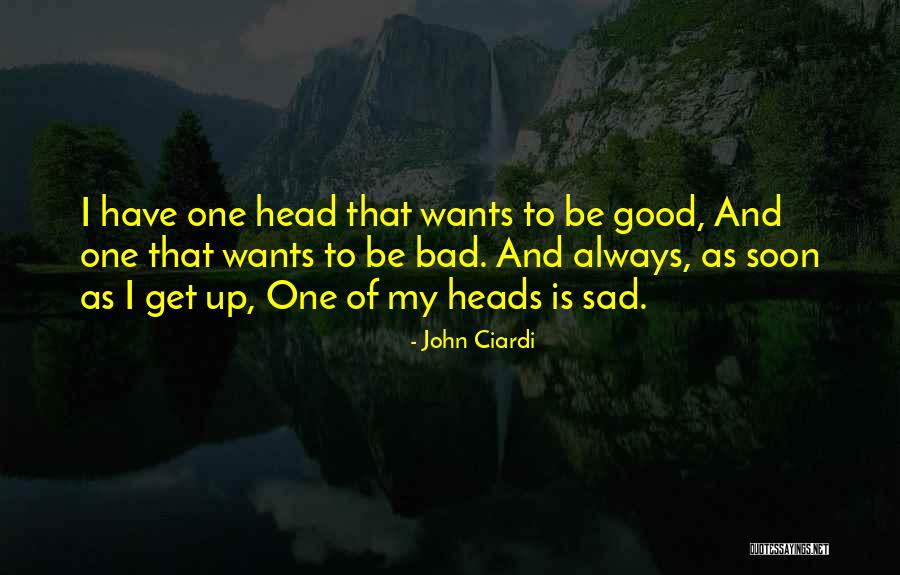 Bad To Good Quotes By John Ciardi