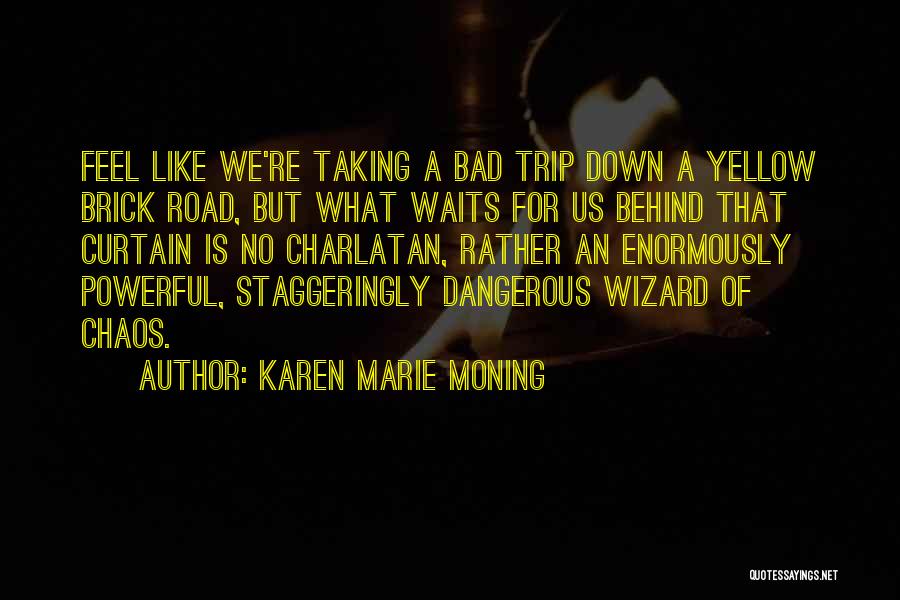 Bad Trip Quotes By Karen Marie Moning