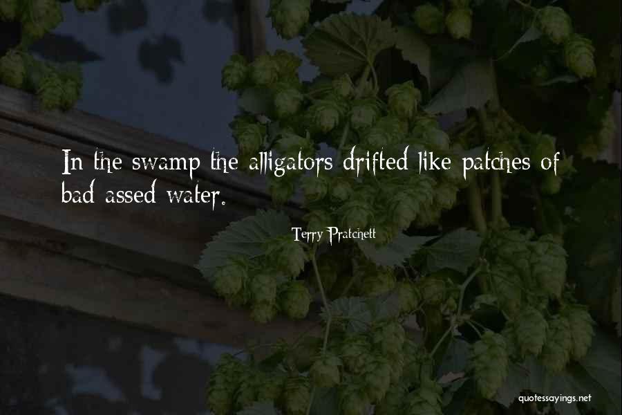 Bad Water Quotes By Terry Pratchett