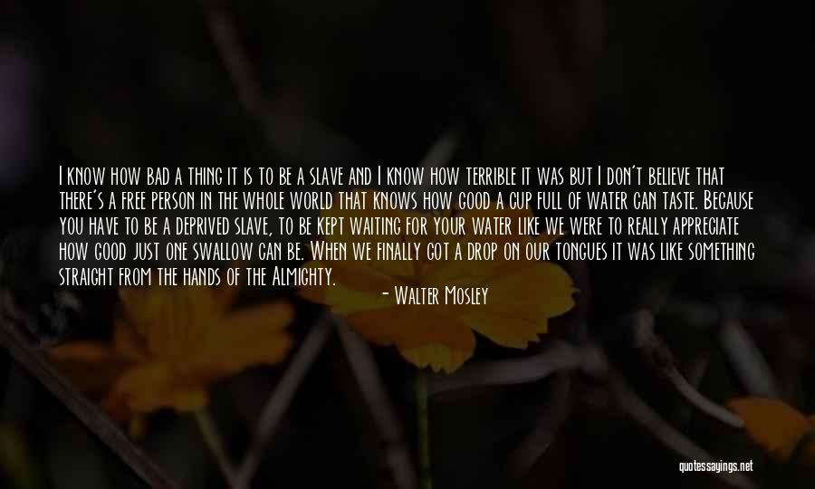 Bad Water Quotes By Walter Mosley Bad Water Quotes By Walter Mosley