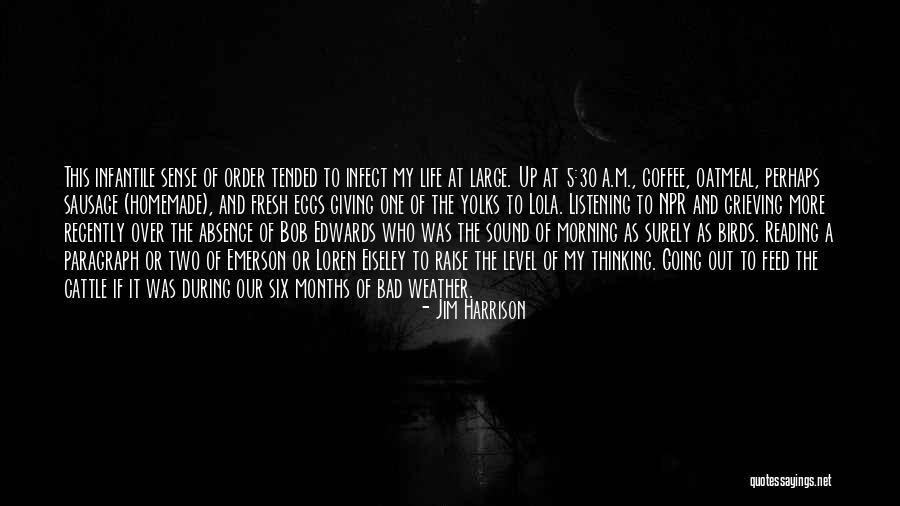 Bad Weather Quotes By Jim Harrison Bad Weather Quotes By Jim Harrison