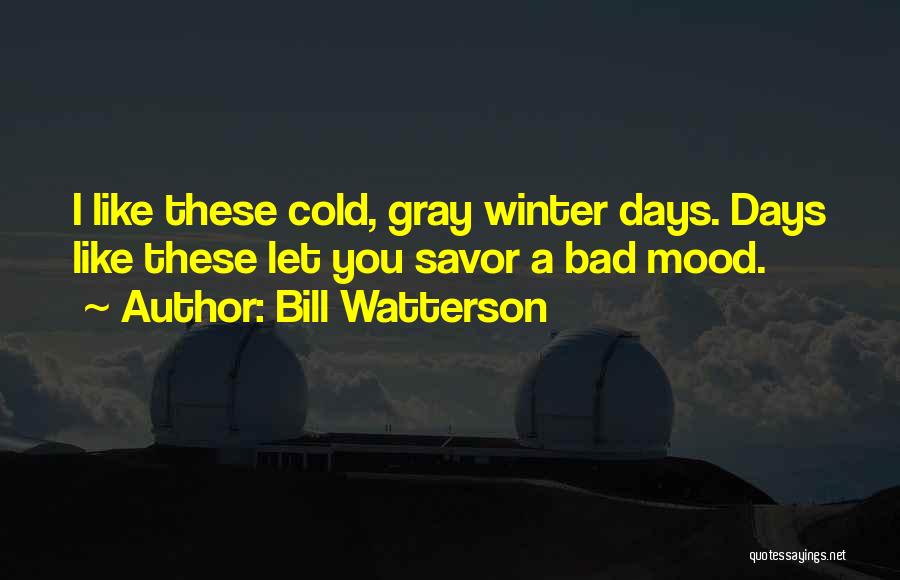 Bad Winter Quotes By Bill Watterson