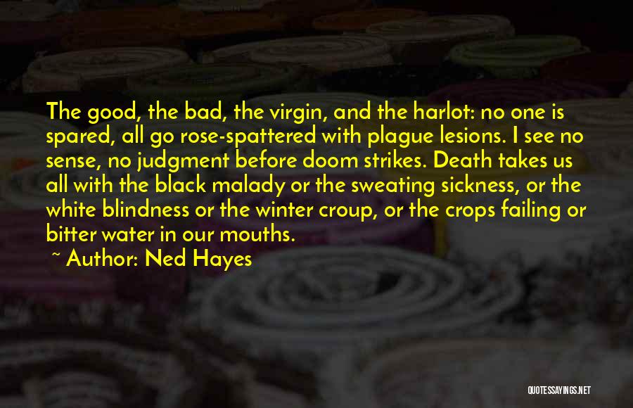 Bad Winter Quotes By Ned Hayes