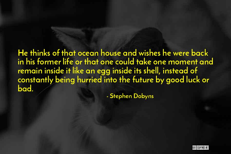 Bad Wishes Quotes By Stephen Dobyns