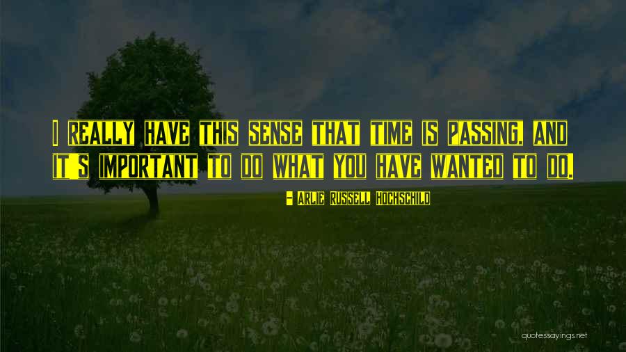 Badalian Financial Quotes By Arlie Russell Hochschild Badalian Financial Quotes By Arlie Russell Hochschild