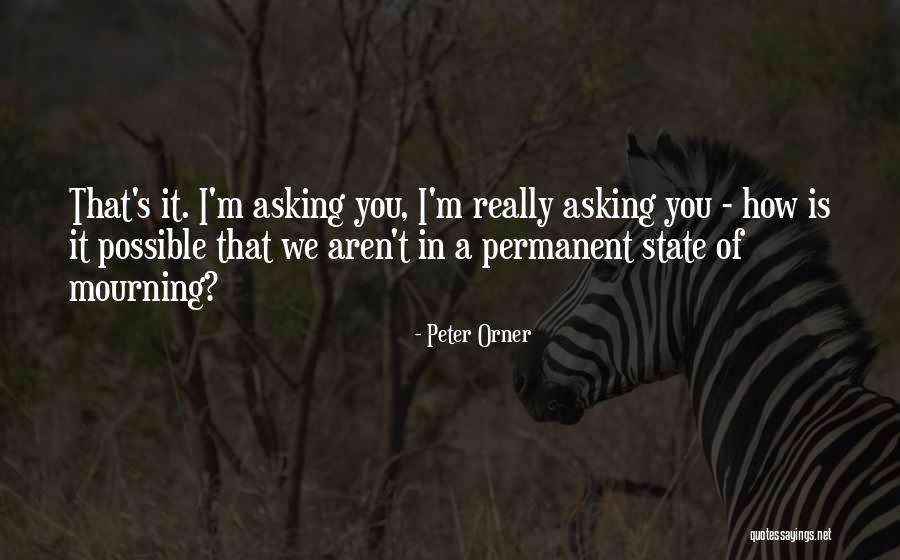 Badawy International Quotes By Peter Orner Badawy International Quotes By Peter Orner