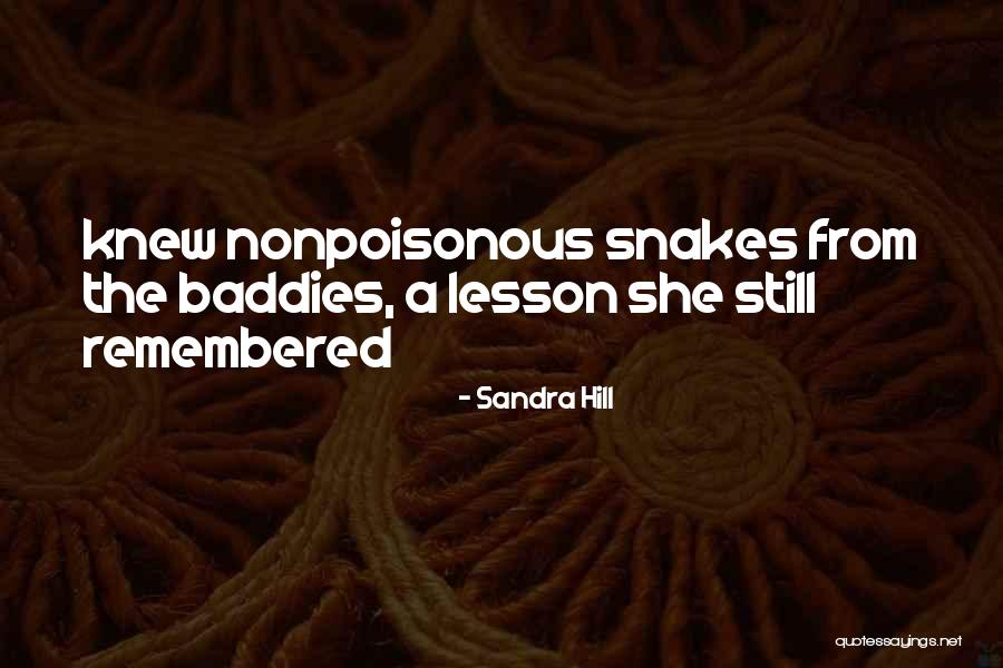 Baddies Quotes By Sandra Hill Baddies Quotes By Sandra Hill