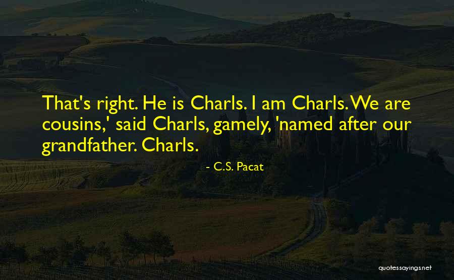 Badeanzug Quotes By C.S. Pacat Badeanzug Quotes By C.S. Pacat