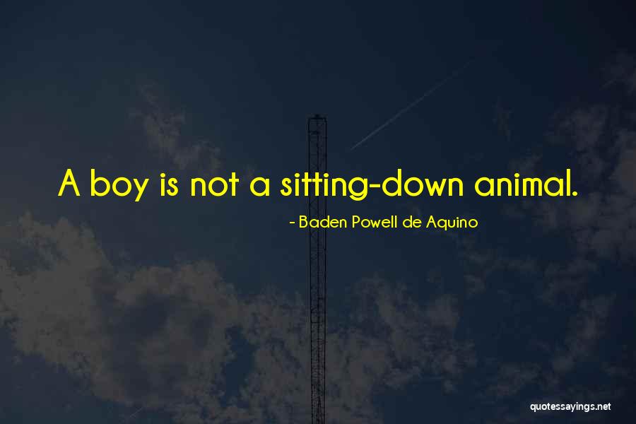 Baden Powell De Aquino Quotes 654738